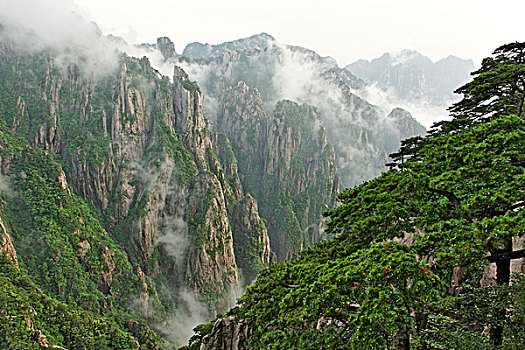 乖水在哪里可以买到C1B8D97C5-18975